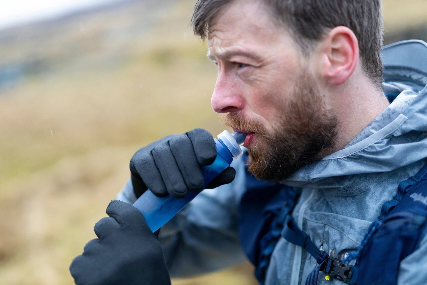 Swiglet 5 Swiglet - Image 5