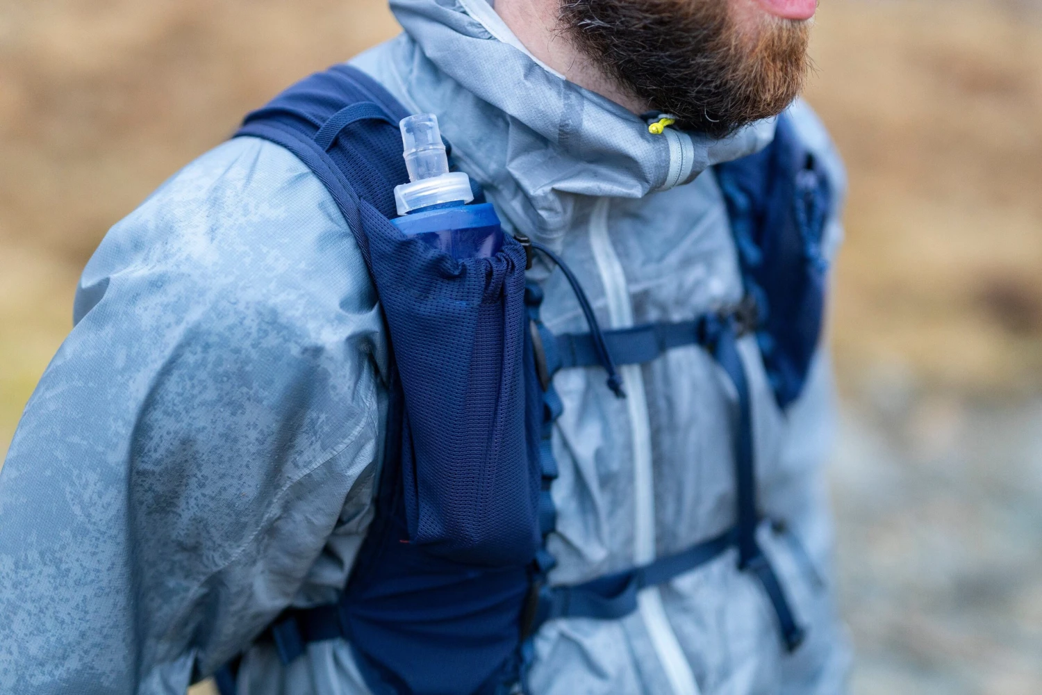 Swiglet 4 Swiglet - Image 4