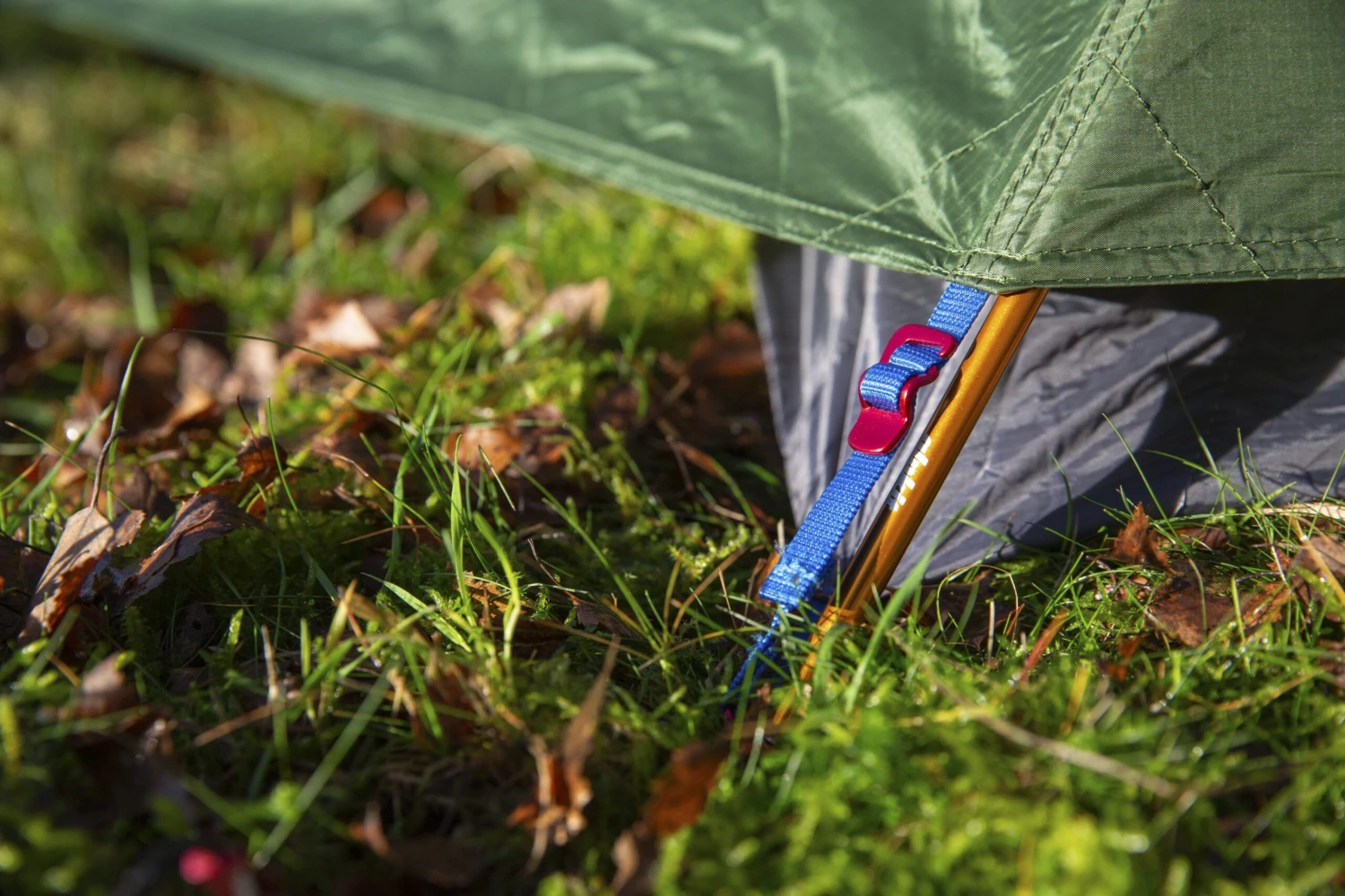 Jaran 3 15 Jaran 3 - Image 15