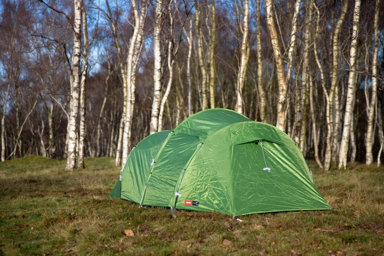 Viso 3 13 Viso 3 - Image 13