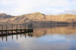 Terrapin Natural Swimming Wetsuit [Mens] -Outdoor Equipment Sale Store mens terrapin location 1